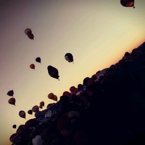 Meet your Posher, Xavier